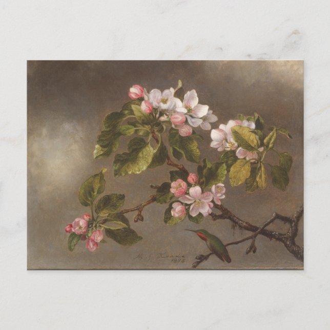 Carte Postale Colibri Et Pommes En Fleurs (Devant)