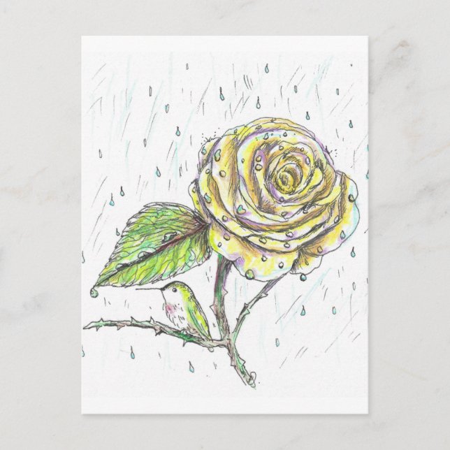Carte Postale Colibri et Rose dans le dessin de pluie (Devant)