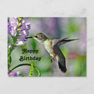 Carte Postale Colibri Fleur Florale Rose Photo Anniversaire Faun
