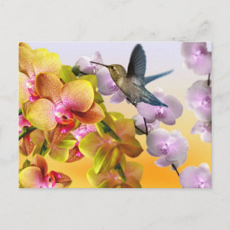 Carte Postale Colibri, Lilacs Violets, Orchidées Roses Jaunes