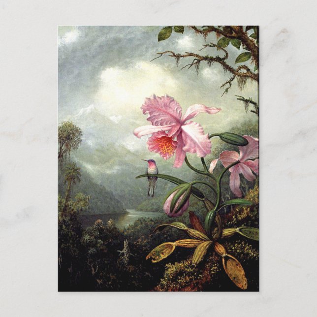 Carte Postale Colibri Perché, art, (Devant)