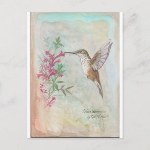 Carte Postale Colibri roux