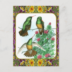 Carte Postale Colibris et fleurs #1