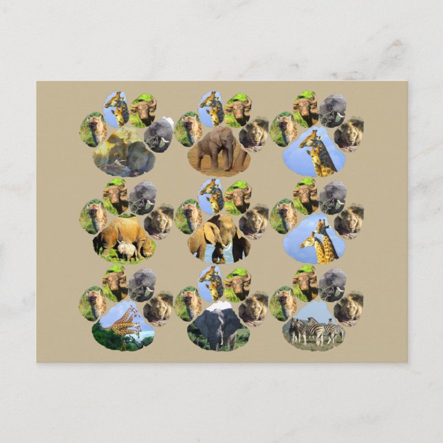 Carte postale Collage 9 Pawprint de Lion d'Afrique (Devant)