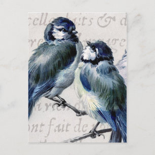Carte Postale Collage bleu vintage d'oiseaux - oiseaux bleus