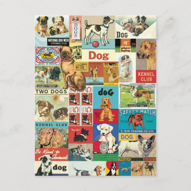 Carte Postale Collage chiens vintage (Devant)