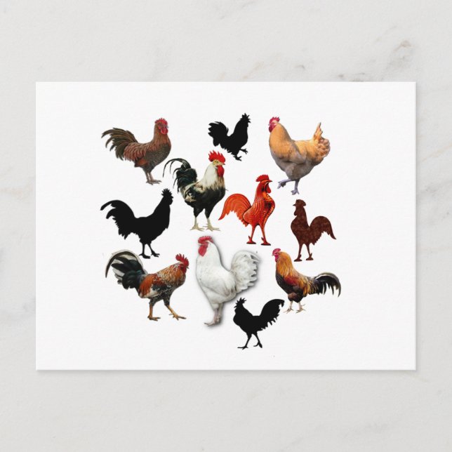 Carte Postale Collage de coq Poulets Vintages rustiques (Devant)
