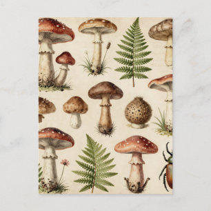 Carte Postale Collage de fougère de champignon botanique vintage