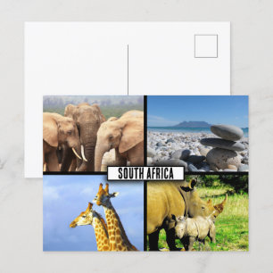 Carte Postale Collage de photos de la faune en Afrique du Sud