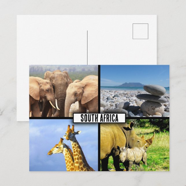 Carte Postale Collage de photos de la faune en Afrique du Sud (Devant / Derrière)