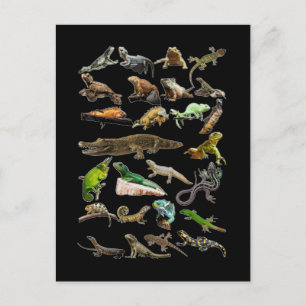 Carte Postale Collage de reptiles Lézard Gecko Dragon barbu