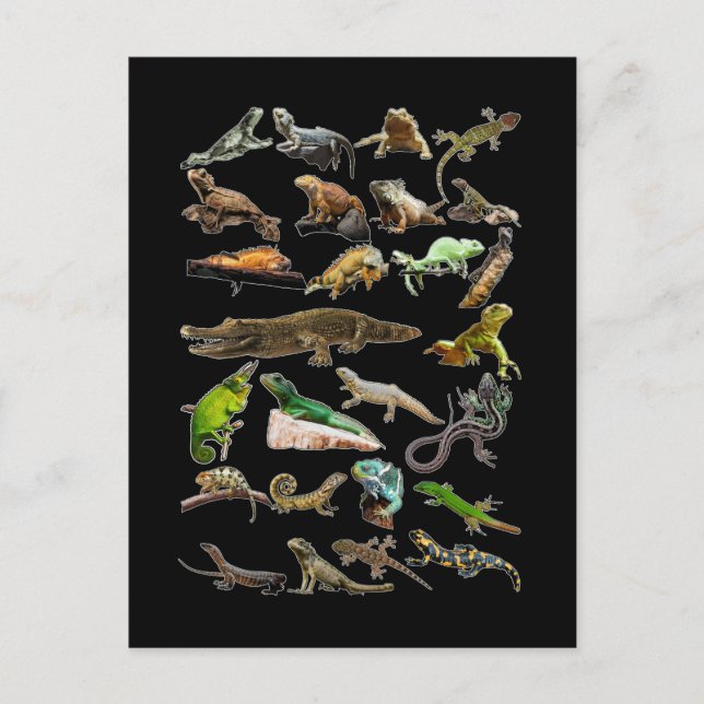 Carte Postale Collage de reptiles Lézard Gecko Dragon barbu (Devant)