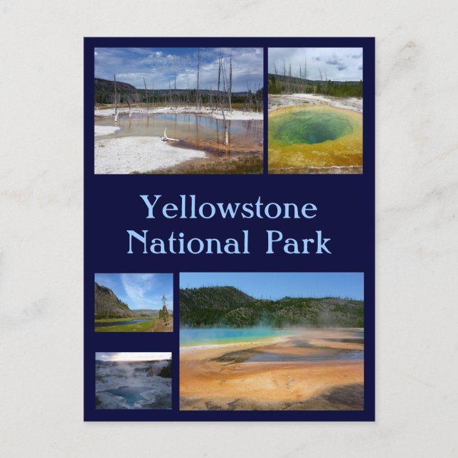 Carte Postale Collage de Yellowstone 1 (Devant)