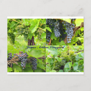 Carte postale Collage JAV 2013 9