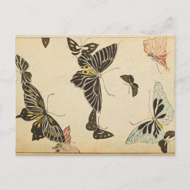 Carte Postale Collage papillon vintage (Devant)