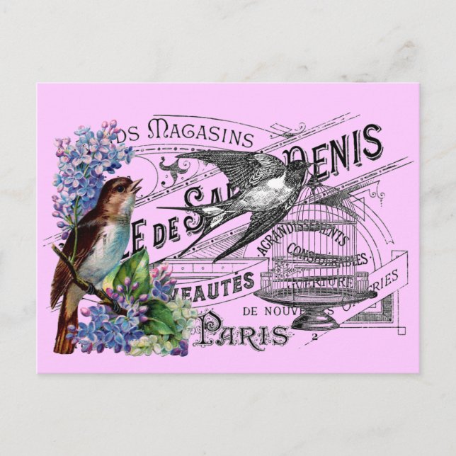 Carte Postale Collage vintage d'oiseaux (Devant)