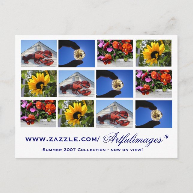 Carte Postale Collection de 2007 étés (Devant)