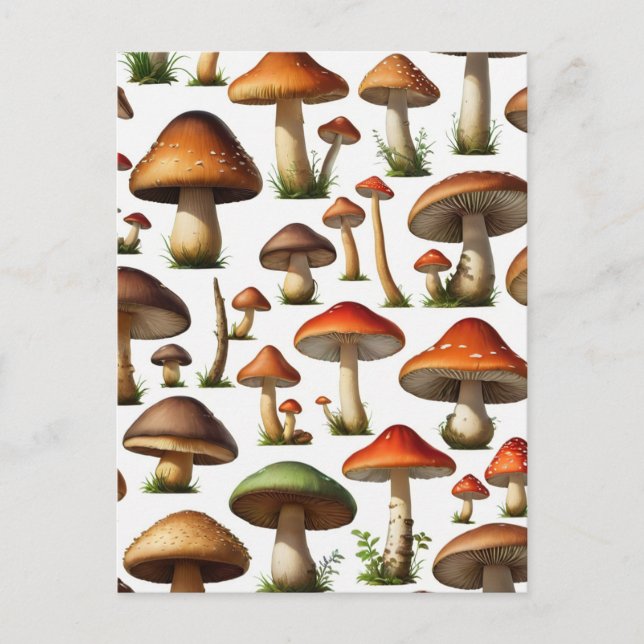 Carte Postale Collection de champignons Design Motif (Devant)