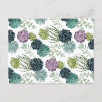 Collection de plantes succulentes pour le bonheur