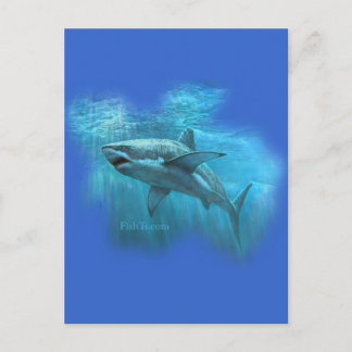 Carte Postale Collection de requins par FishTs.com