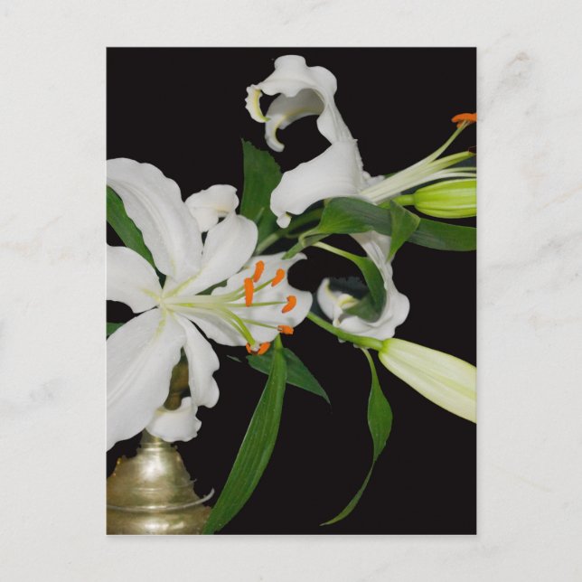 Carte Postale Collection Lily artistique-1 (Devant)