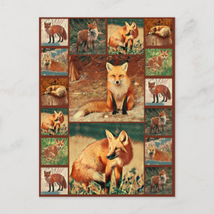 Carte Postale Collection Red Fox
