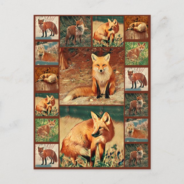 Carte Postale Collection Red Fox (Devant)