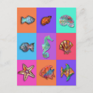 Carte Postale Collection Shell