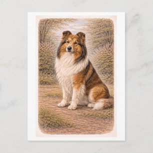 Carte Postale Colley de style vintage