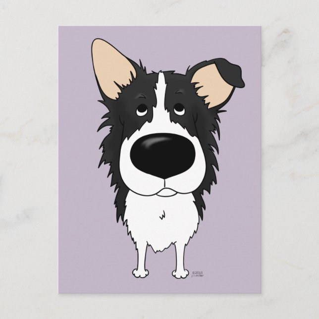 Carte postale Collie Bordure (Devant)