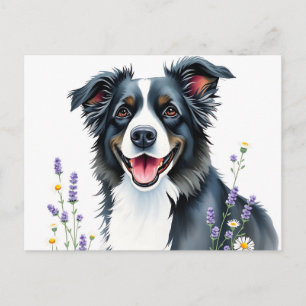 Carte Postale Collie de bordure d'eau avec lavande et marguerite