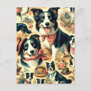 Carte Postale Collie frontière mignonne sans joint