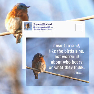 Carte Postale Colombe je veux chanter Citation de Rumi Photograp