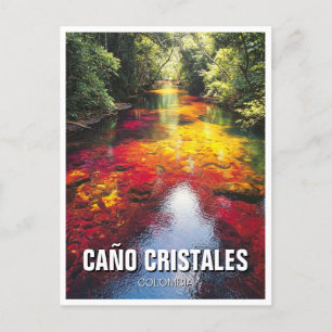 Carte Postale Colombia Cano Cristales Travel