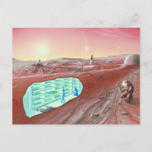 Carte Postale colonie de Mars