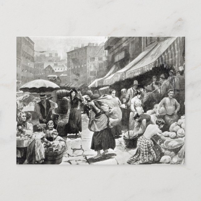 Carte Postale Colonie italienne Mulberry Bend à New York (Devant)