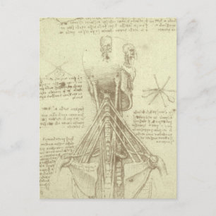 Carte Postale Colonne de colonne vertébrale de l'anatomie humain