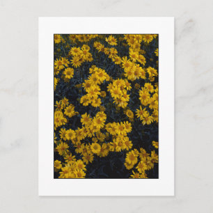 Carte Postale " Color Me Yellow "