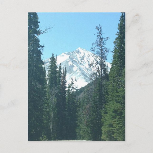 CARTE POSTALE COLORADO (Devant)