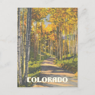 Carte Postale Colorado Aspen Trees Vintages