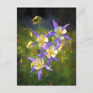 Carte Postale Colorado Blue Columbine Peinture - Art original