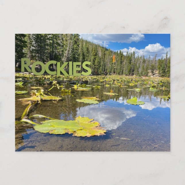 Carte Postale Colorado Lily Pad Roctains (Devant)
