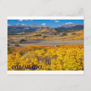 Carte Postale Colorado Pittoresque Foliage
