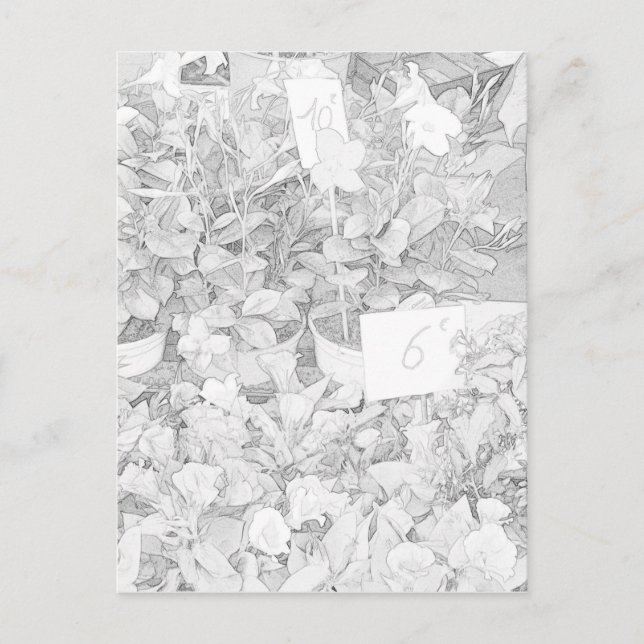 Carte Postale Coloration du marché de fleur (Devant)