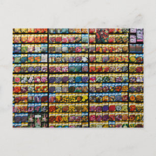 Carte postale Colorée pour les paquets de semences