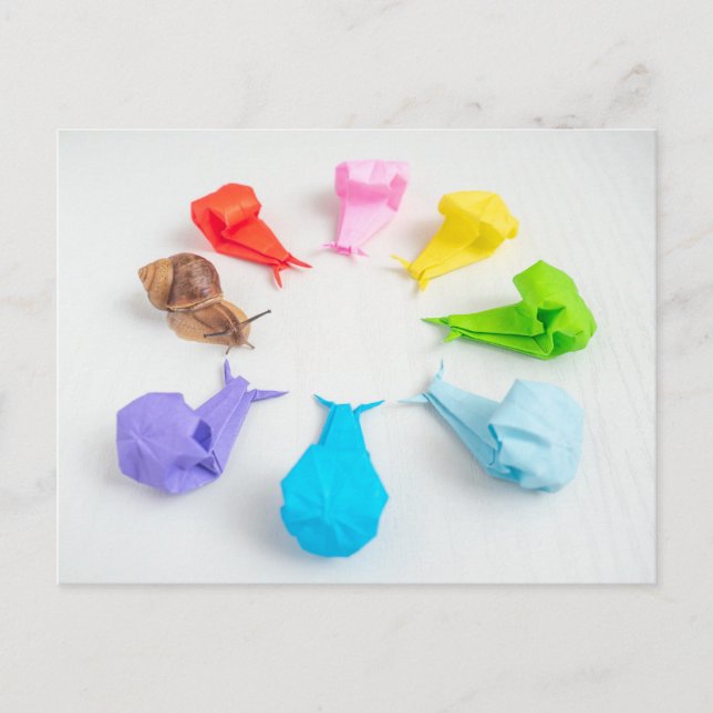 Carte postale Colorée Snails (Devant)