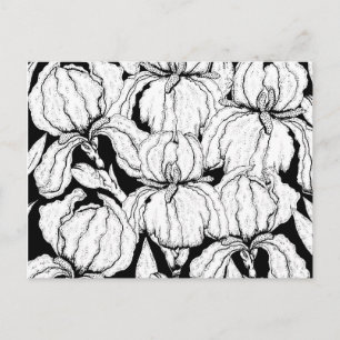 Carte Postale Colorez Vos Propres Fleurs Iris