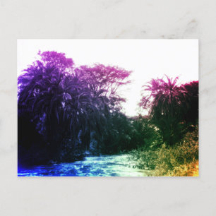 Carte Postale Colorful River Gallery Forêt Vintage Tropical