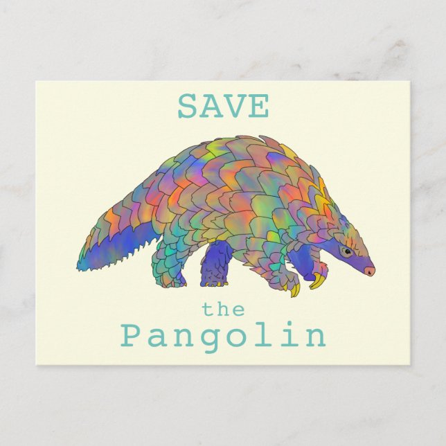 Carte Postale Colorful Save Pangolin Endanged Animal Activism (Devant)