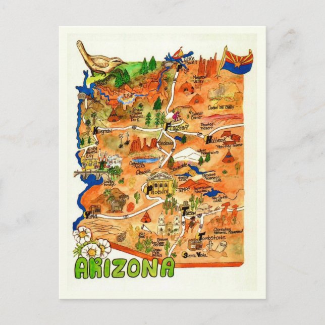 Carte Postale Colorfully Illustrated Arizona Map Postcard (Devant)